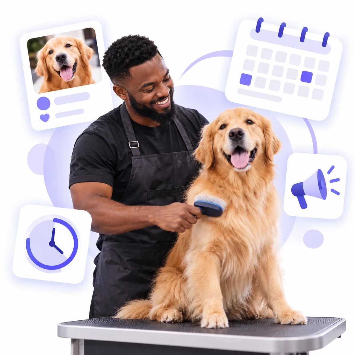 Turn Before and After Grooms and More Into Google Posts That Rank